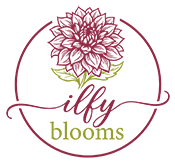 Ilfy Blooms Logo